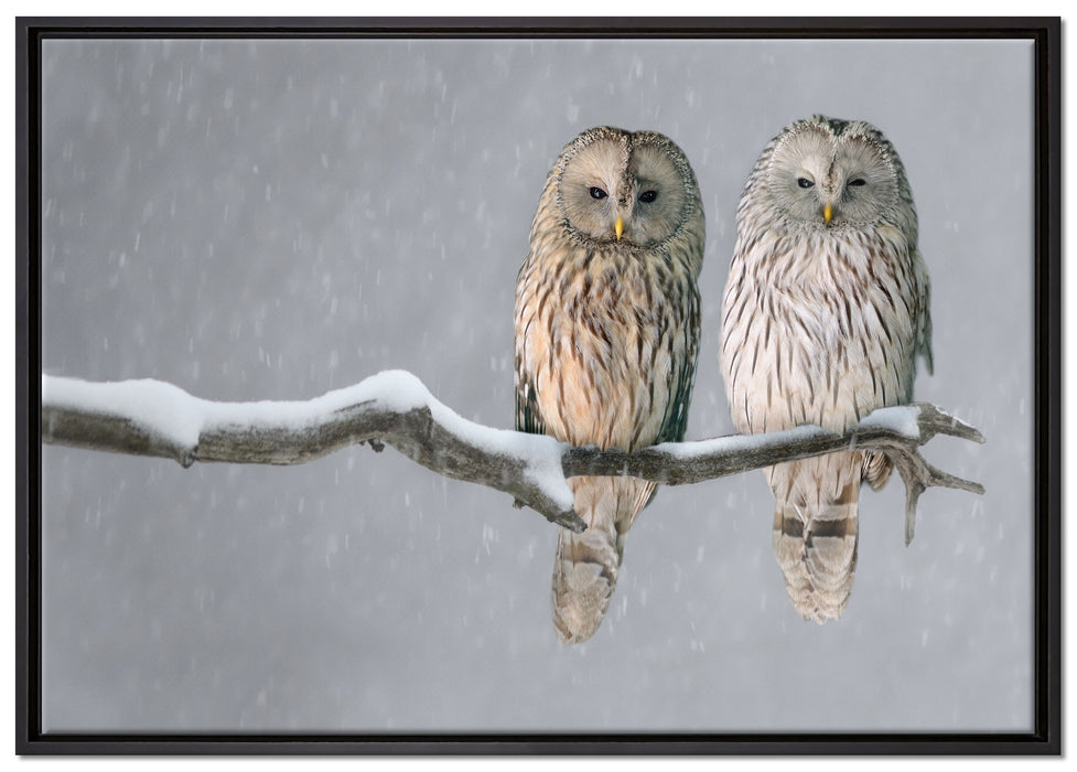 Zwei Eulen in Winterlandschaft auf Leinwandbild gerahmt Größe 100x70