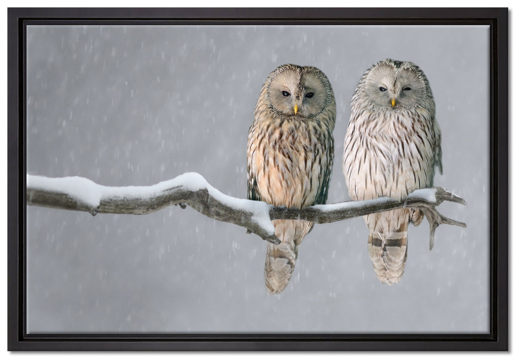 Zwei Eulen in Winterlandschaft auf Leinwandbild gerahmt Größe 60x40