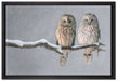Zwei Eulen in Winterlandschaft auf Leinwandbild gerahmt Größe 60x40