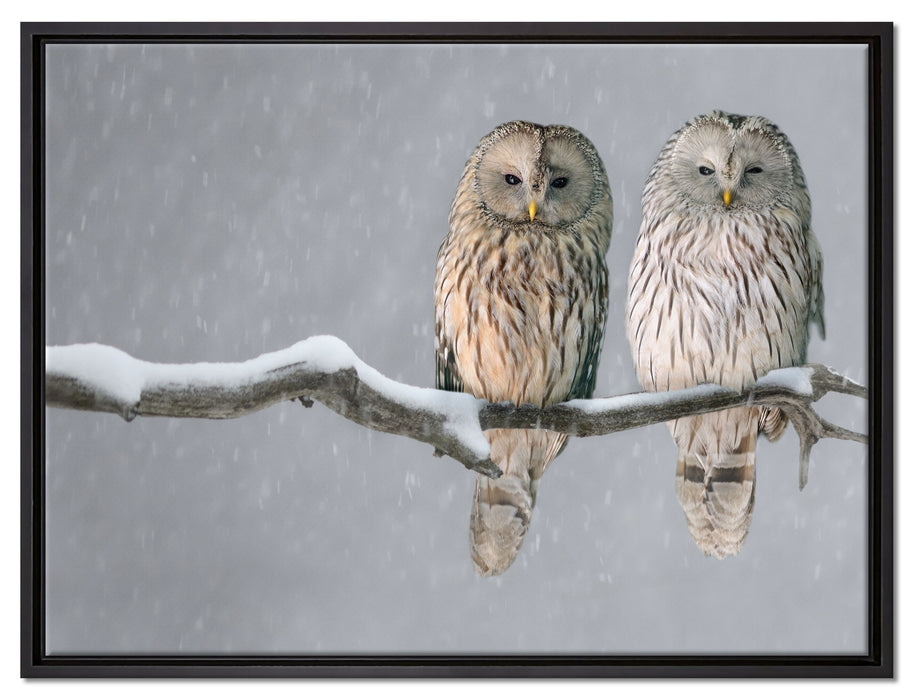 Zwei Eulen in Winterlandschaft auf Leinwandbild gerahmt Größe 80x60