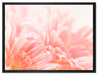 Gerbera Blume auf Leinwandbild gerahmt Größe 80x60