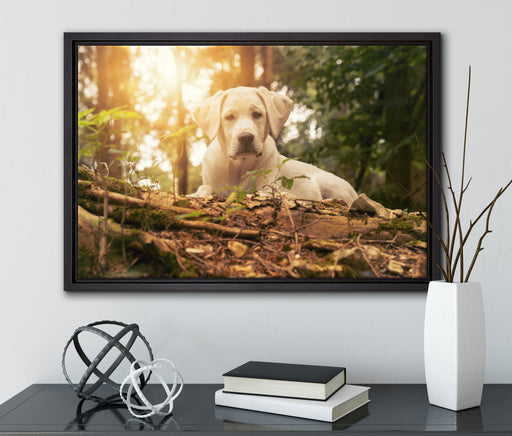 Hund im Wald bei Sonneuntergang auf Leinwandbild gerahmt mit Kirschblüten