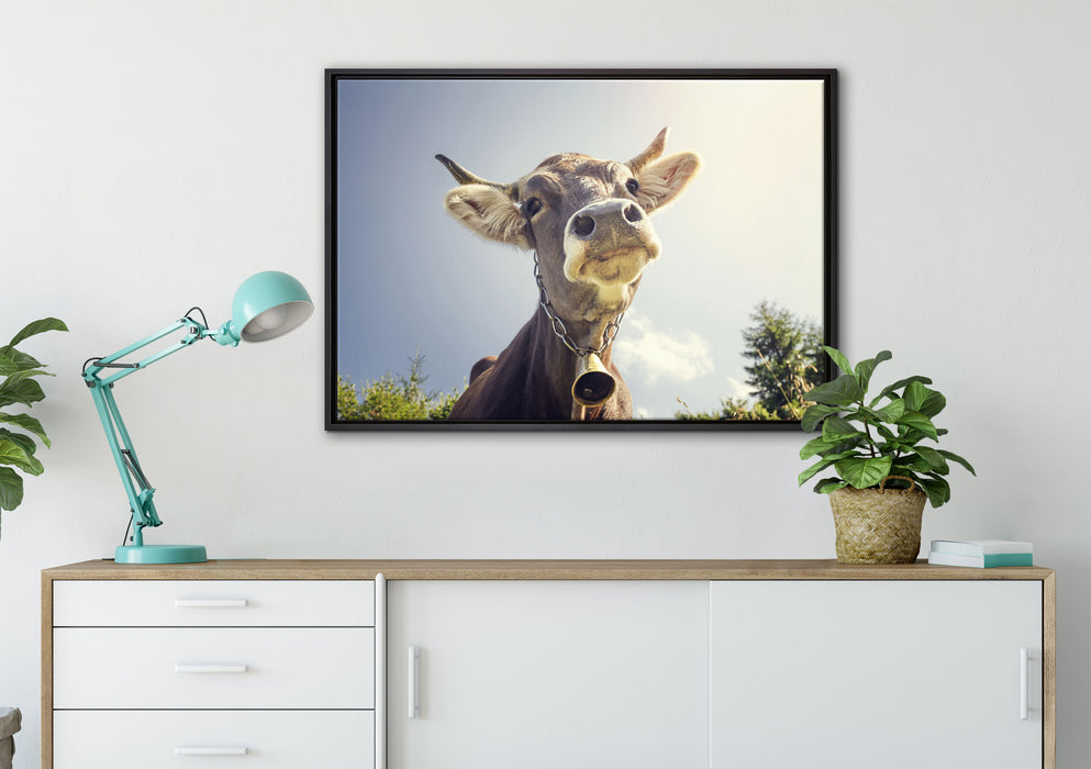 Lustiges Portrait einer Kuh auf Leinwandbild gerahmt verschiedene Größen im Wohnzimmer