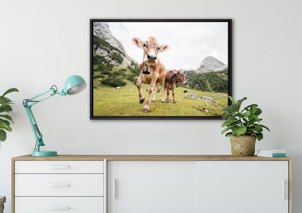 Almkuh auf der Weide auf Leinwandbild gerahmt verschiedene Größen im Wohnzimmer
