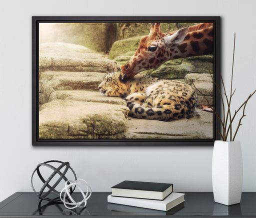 Leopard und Giraffe auf Leinwandbild gerahmt mit Kirschblüten