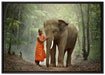 wunderschöner Elefant mit Mönch auf Leinwandbild gerahmt Größe 100x70