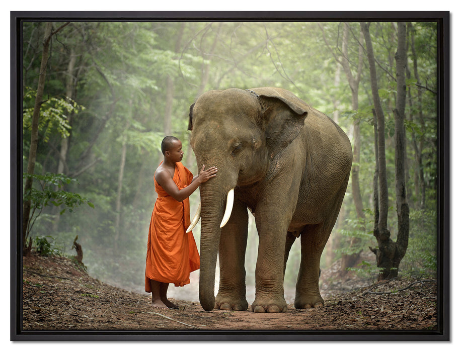wunderschöner Elefant mit Mönch auf Leinwandbild gerahmt Größe 80x60