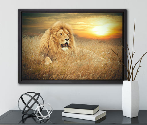 mächtiger Löwe auf Leinwandbild gerahmt mit Kirschblüten