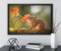 Eichhörnchen riecht an einer Blume auf Leinwandbild gerahmt mit Kirschblüten