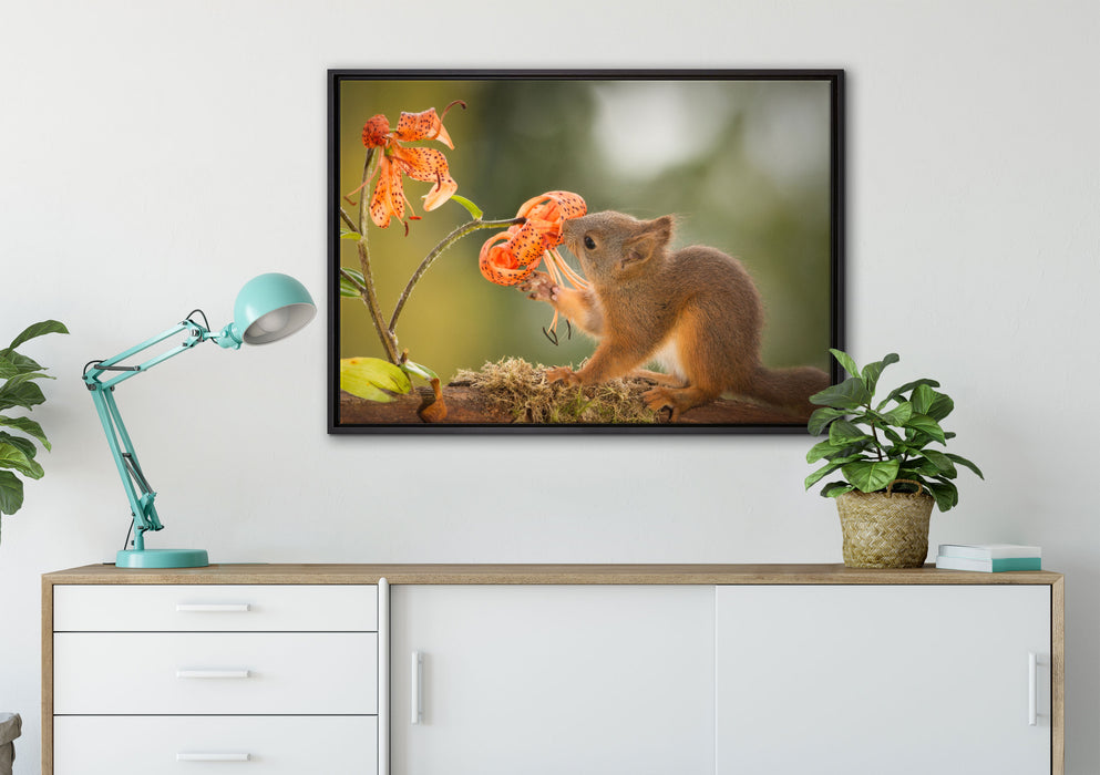 Eichhörnchen riecht an einer Blume auf Leinwandbild gerahmt verschiedene Größen im Wohnzimmer