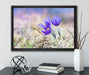 schöne Krokusse auf Leinwandbild gerahmt mit Kirschblüten