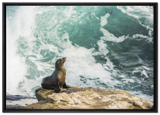süße Robbe sonnt sich auf Leinwandbild gerahmt Größe 100x70