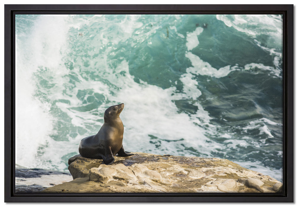 süße Robbe sonnt sich auf Leinwandbild gerahmt Größe 60x40