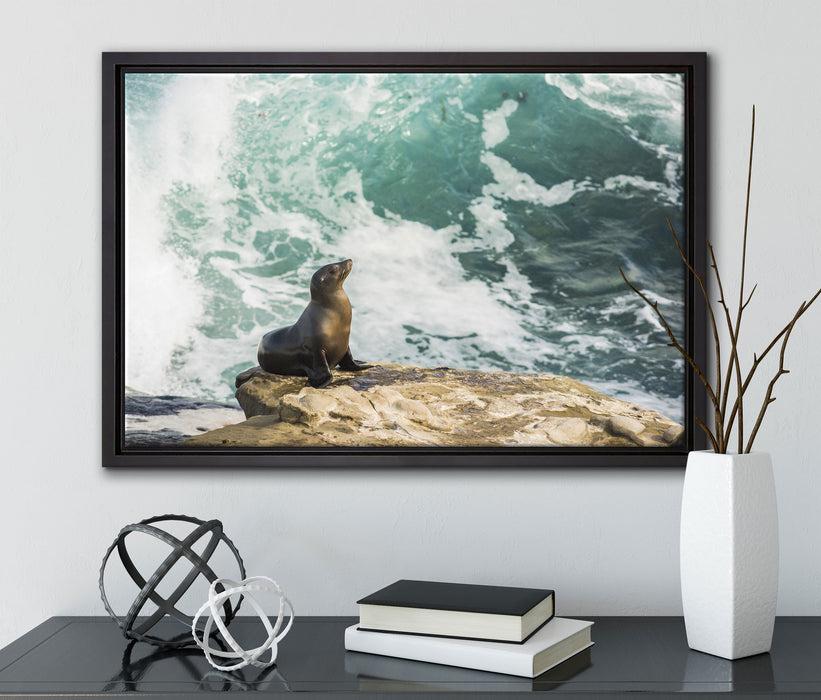 süße Robbe sonnt sich auf Leinwandbild gerahmt mit Kirschblüten