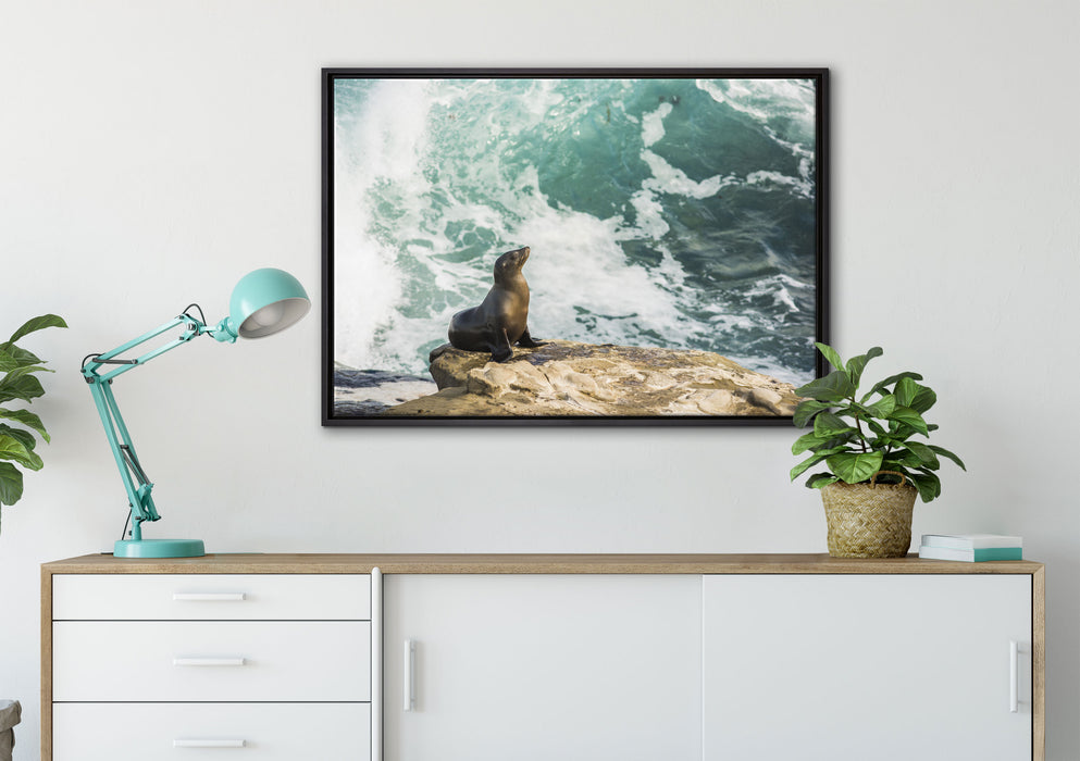 süße Robbe sonnt sich auf Leinwandbild gerahmt verschiedene Größen im Wohnzimmer