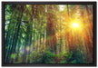 Wald bei Sonnenlicht auf Leinwandbild gerahmt Größe 60x40