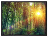 Wald bei Sonnenlicht auf Leinwandbild gerahmt Größe 80x60