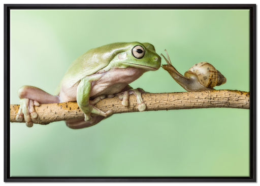 der Frosch und die Schnecke auf Leinwandbild gerahmt Größe 100x70