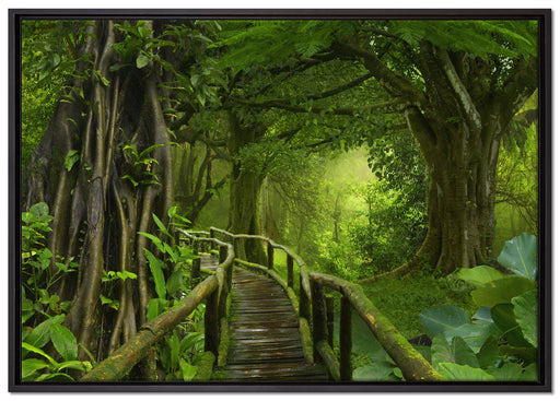 Weg durch den Tropenwald auf Leinwandbild gerahmt Größe 100x70