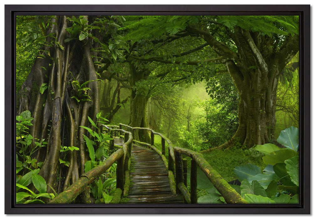 Weg durch den Tropenwald auf Leinwandbild gerahmt Größe 60x40