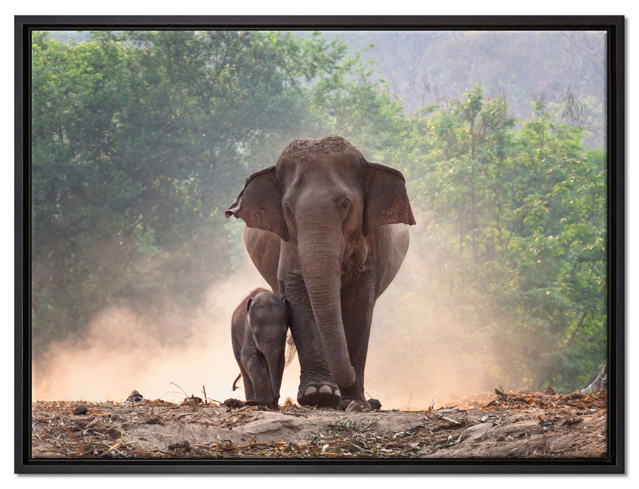 Elefantenbaby mit Mutter auf Leinwandbild gerahmt Größe 80x60