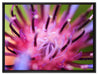 wunderschöne lila Blume im Fokus auf Leinwandbild gerahmt Größe 80x60