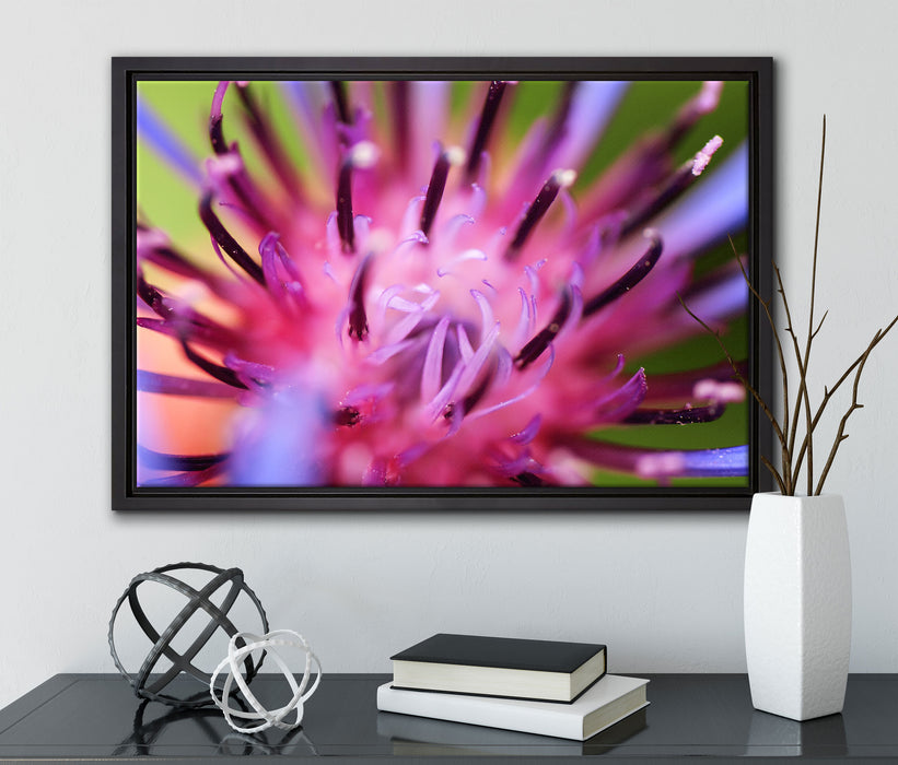 wunderschöne lila Blume im Fokus auf Leinwandbild gerahmt mit Kirschblüten