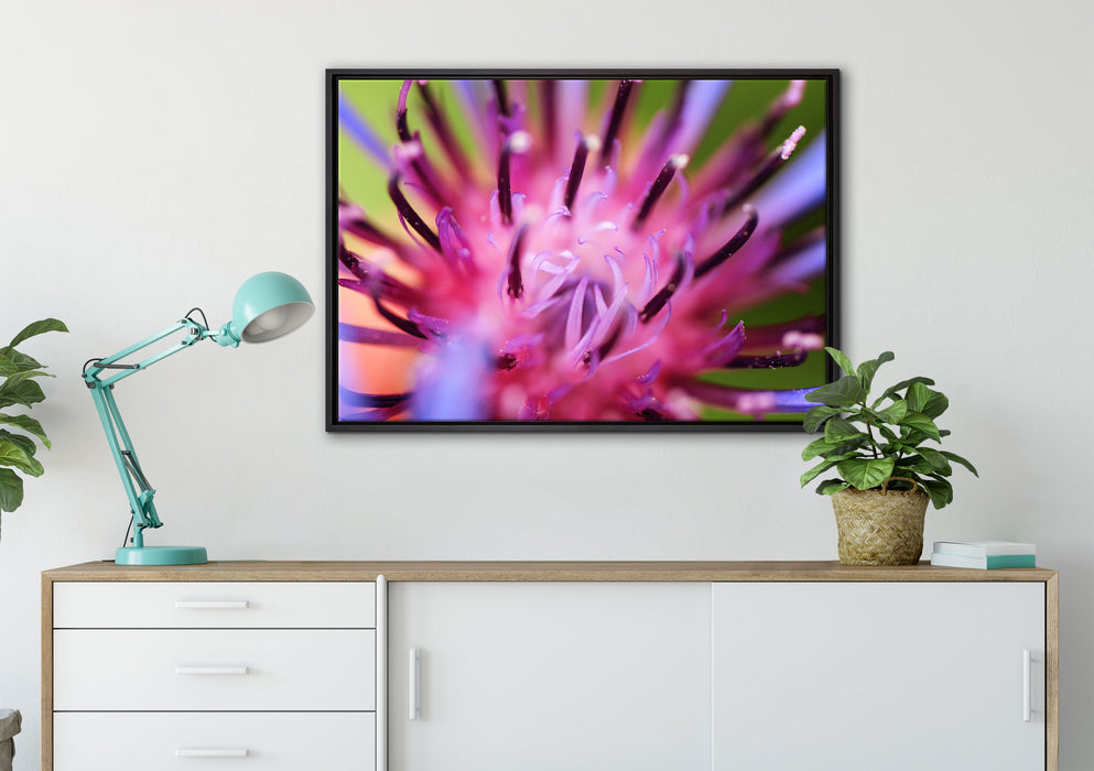 wunderschöne lila Blume im Fokus auf Leinwandbild gerahmt verschiedene Größen im Wohnzimmer