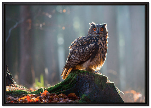 die Eule auf dem Baumstamm auf Leinwandbild gerahmt Größe 100x70