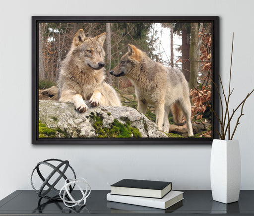 Wölfe im Wald auf Leinwandbild gerahmt mit Kirschblüten