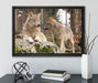 Wölfe im Wald auf Leinwandbild gerahmt mit Kirschblüten