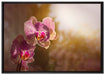 farbenOrchideen in der Nahaufnahme auf Leinwandbild gerahmt Größe 100x70