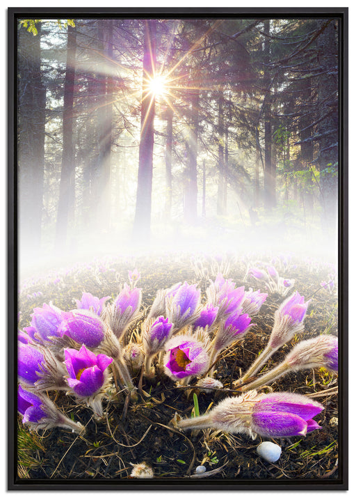 lila Blumen im Wald auf Leinwandbild gerahmt Größe 100x70