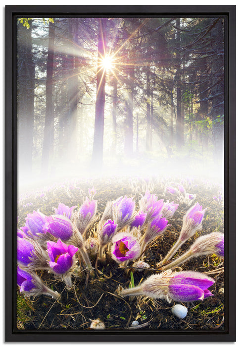 lila Blumen im Wald auf Leinwandbild gerahmt Größe 60x40