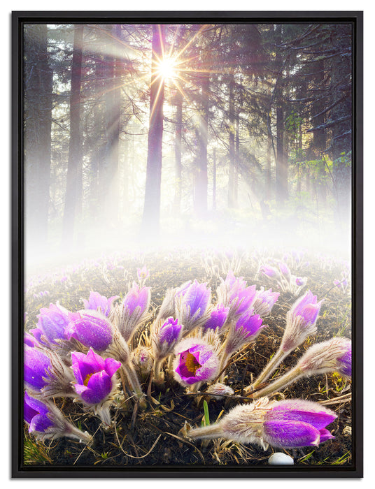 lila Blumen im Wald auf Leinwandbild gerahmt Größe 80x60