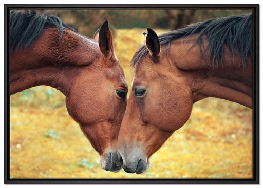zwei schmusende Pferde auf Leinwandbild gerahmt Größe 100x70
