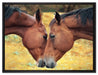zwei schmusende Pferde auf Leinwandbild gerahmt Größe 80x60