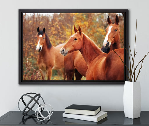 schöne Pferde auf der Wiese auf Leinwandbild gerahmt mit Kirschblüten