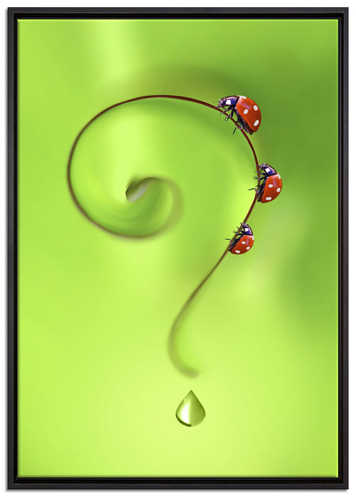 Marienkäfer Fragezeichen auf Leinwandbild gerahmt Größe 100x70