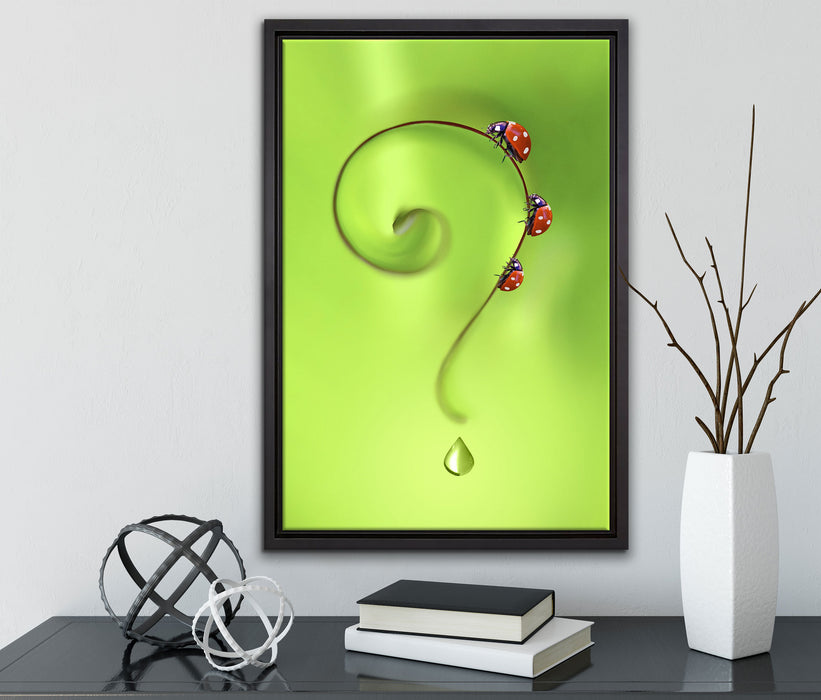 Marienkäfer Fragezeichen auf Leinwandbild gerahmt mit Kirschblüten
