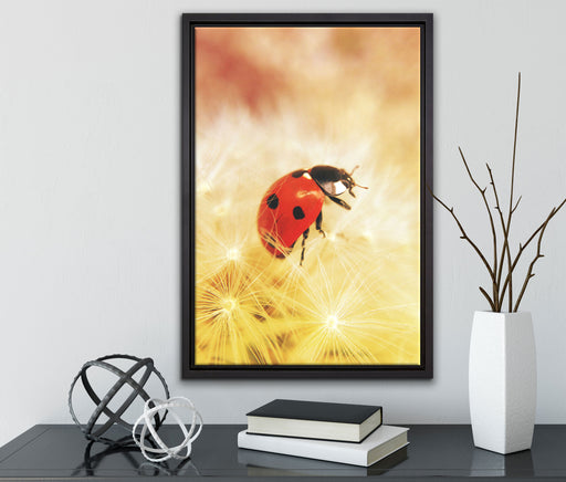 Marienkäfer in der Nahaufnahme auf Leinwandbild gerahmt mit Kirschblüten