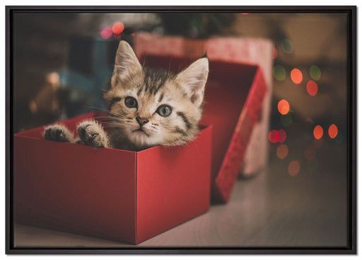 süsses Kätzchen in der Box auf Leinwandbild gerahmt Größe 100x70