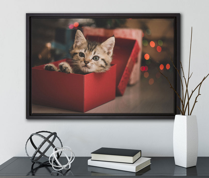 süsses Kätzchen in der Box auf Leinwandbild gerahmt mit Kirschblüten