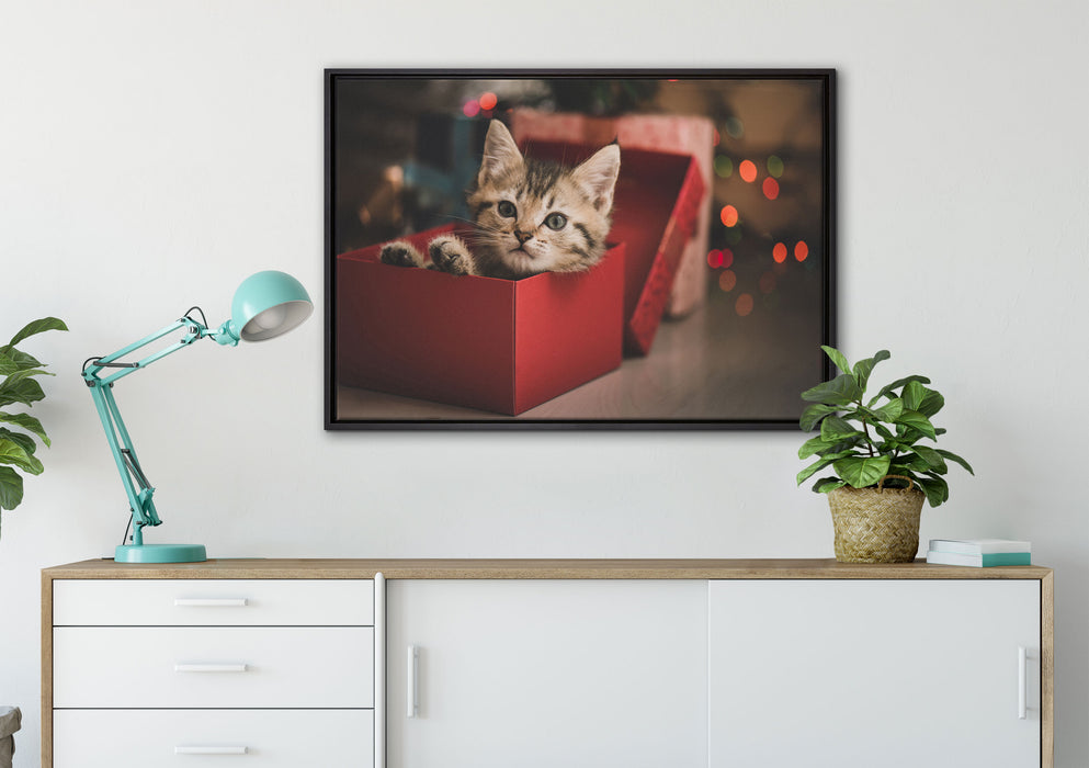 süsses Kätzchen in der Box auf Leinwandbild gerahmt verschiedene Größen im Wohnzimmer