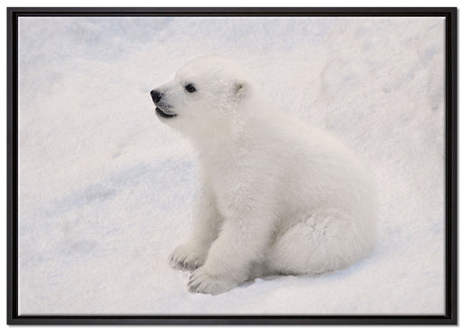 niedliches Eisbär Baby auf Leinwandbild gerahmt Größe 100x70