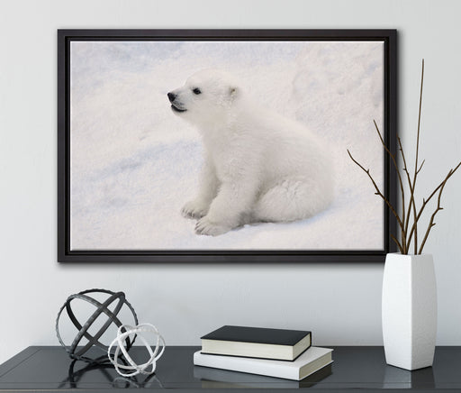 niedliches Eisbär Baby auf Leinwandbild gerahmt mit Kirschblüten