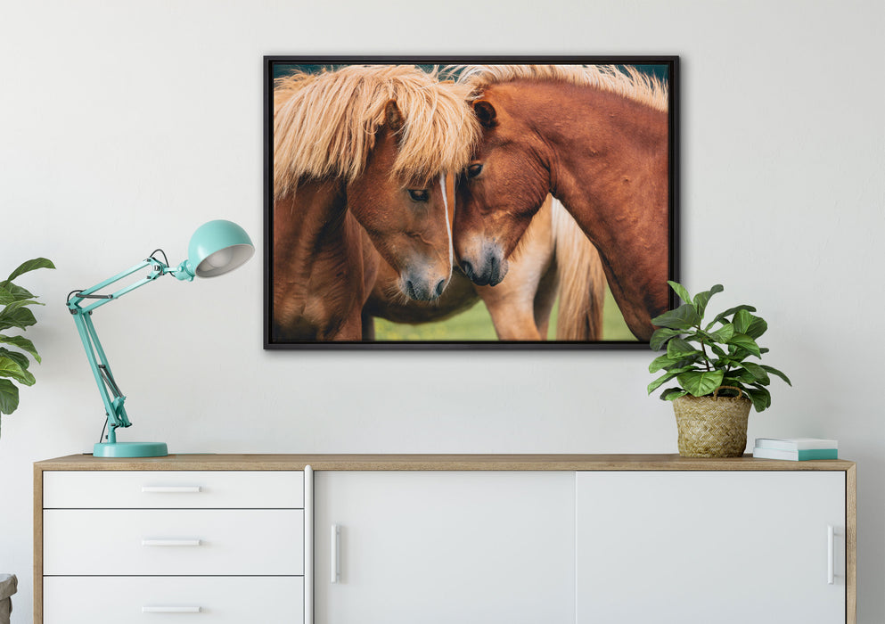 zwei schmusende Pferde auf Leinwandbild gerahmt verschiedene Größen im Wohnzimmer