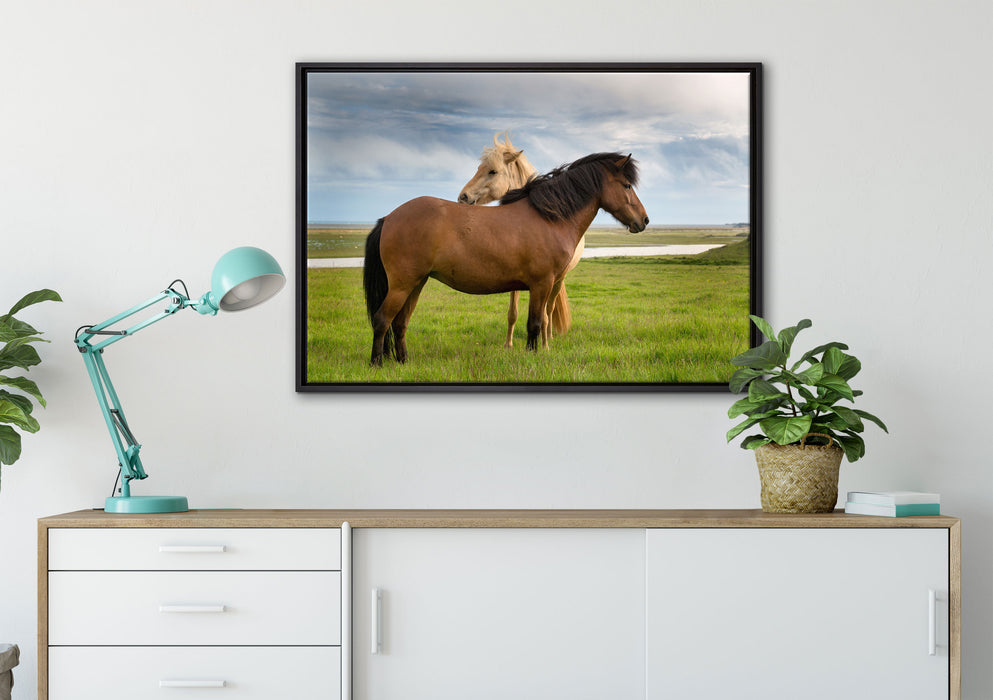 zwei Pferde auf der Wiese auf Leinwandbild gerahmt verschiedene Größen im Wohnzimmer