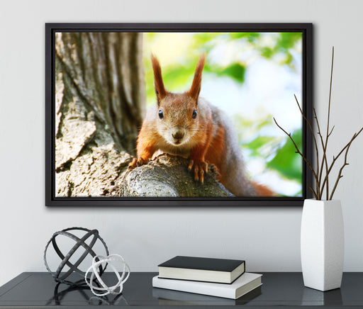 Eichhörnchen auf dem Baum auf Leinwandbild gerahmt mit Kirschblüten