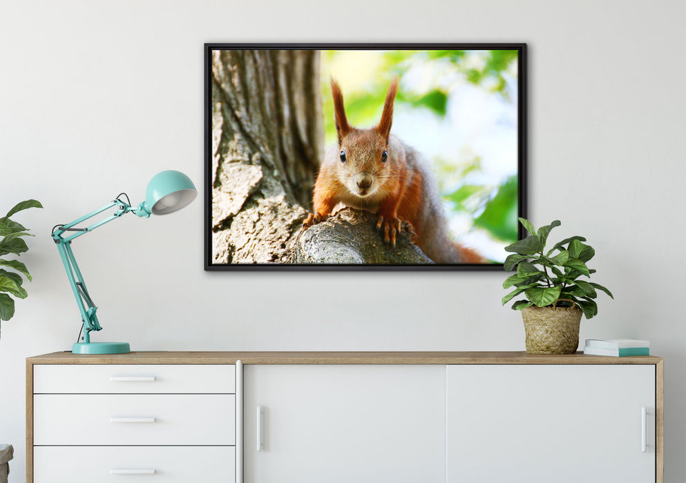 Eichhörnchen auf dem Baum auf Leinwandbild gerahmt verschiedene Größen im Wohnzimmer